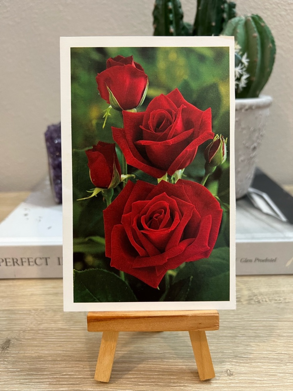 Vintage 1997 Michigan Bulb Co Royalty Hybrid Tea Rose Floral Unused Postcard